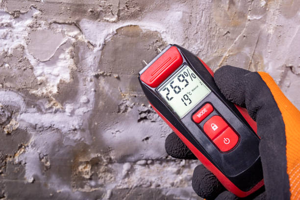 Best Post-Remediation Services in Madisonville, KY